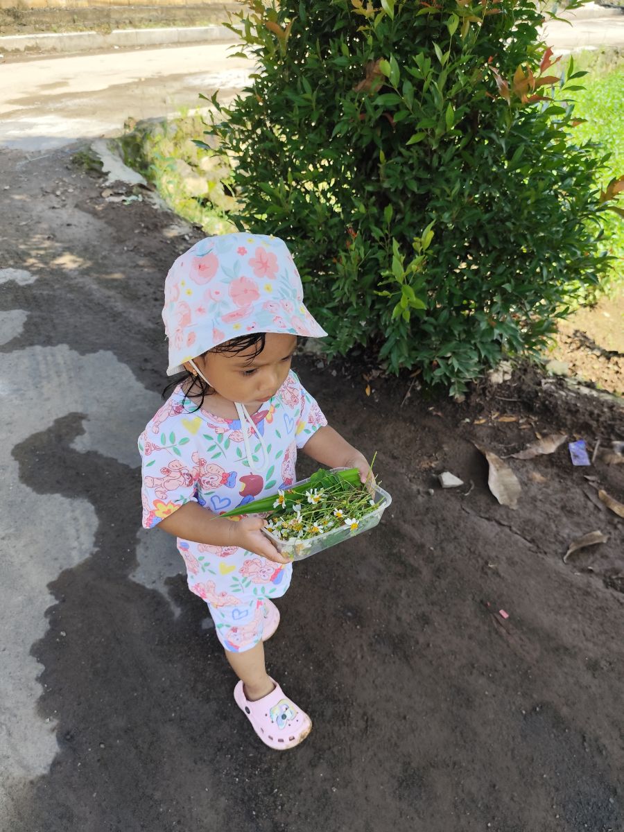 Home Edu Activity - Treasure Hunt : Mengumpulkan 10 Jenis Tanaman di Lingkungan Sekitar