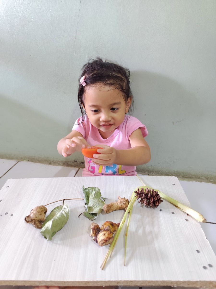 Home Edu Activity - Mengenal Alat Indera Pemberian Allah