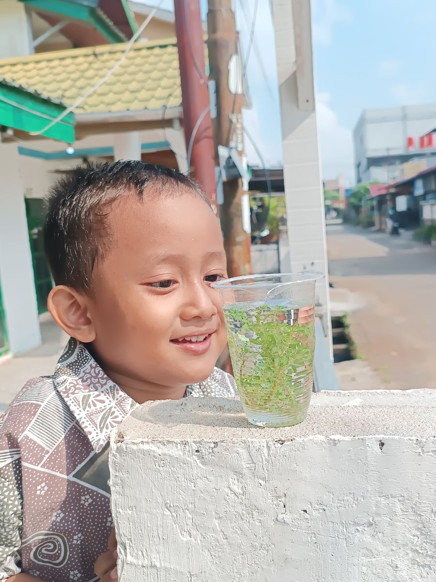 Home Edu Activity - Mengenal Bagian Tumbuhan & Mengetahui Proses Fotosintesis