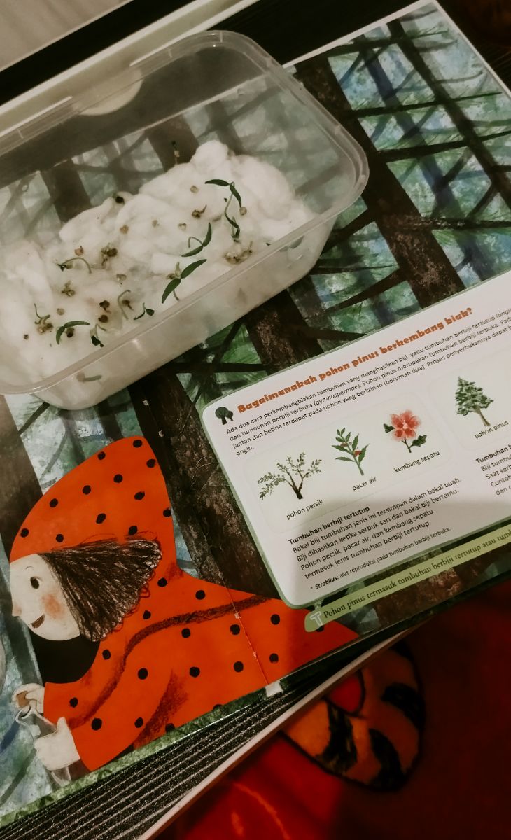 Home Edu Activity - Menyemai Benih & Membuat "Jurnal Tanaman"